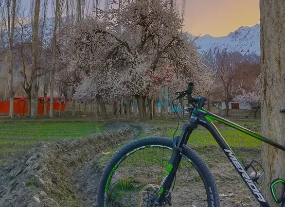 About Gilgit-Baltistan