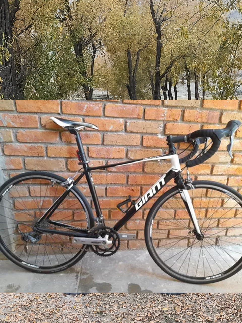Mountain bike